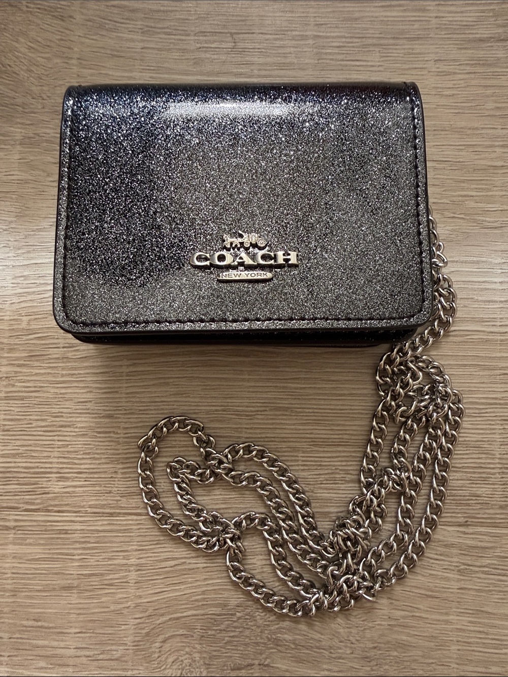 Coach Glitter Mini Wallet with crossbody silver chain